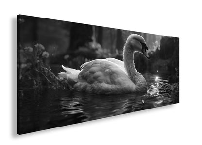 Hauptbild Schwarz & Weiß Panorama