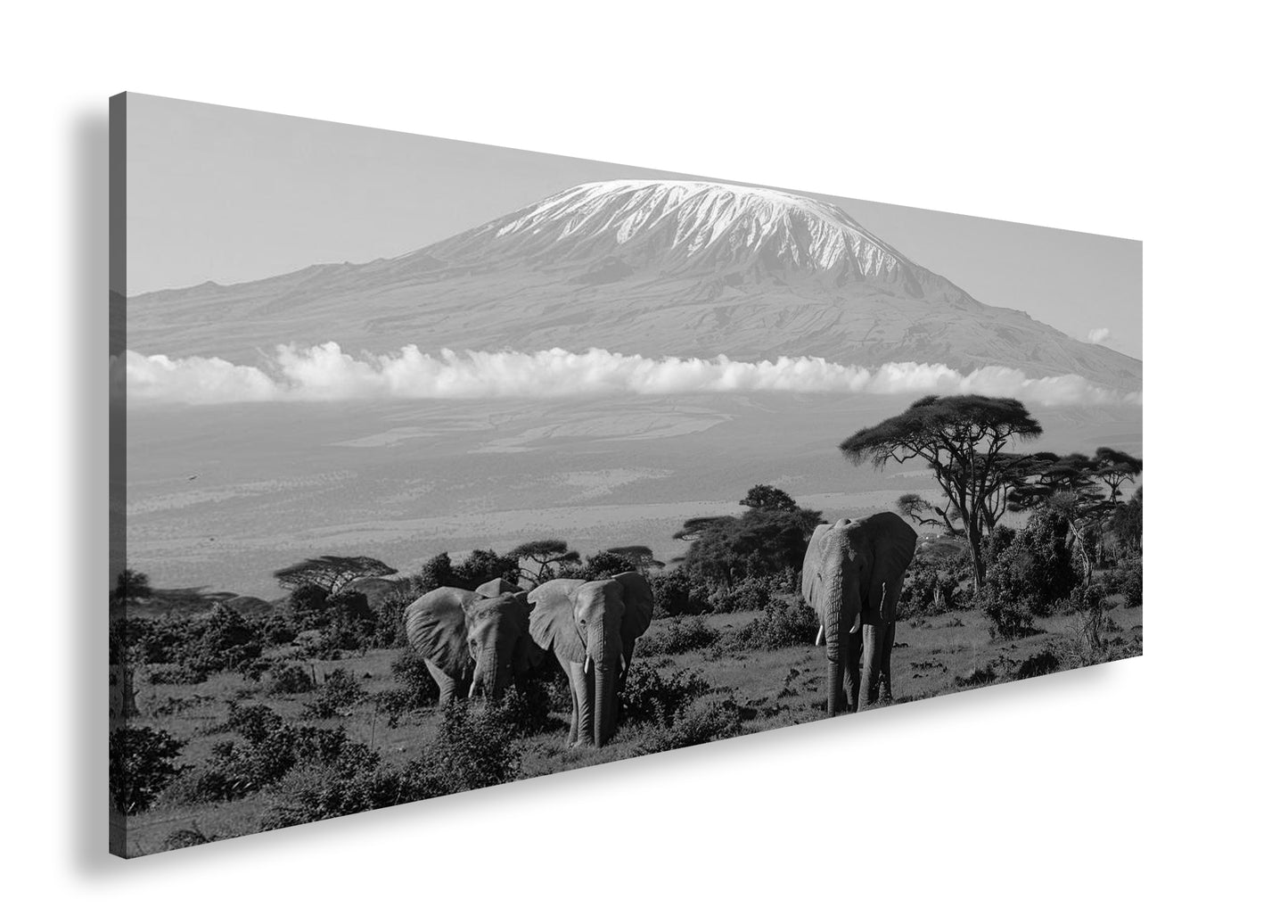 Hauptbild Schwarz & Weiß Panorama