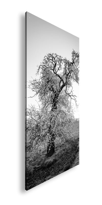 Hauptbild Schwarz & Weiß Panorama