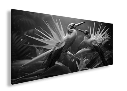 Hauptbild Schwarz & Weiß Panorama