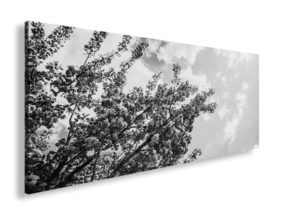 Hauptbild Schwarz & Weiß Panorama