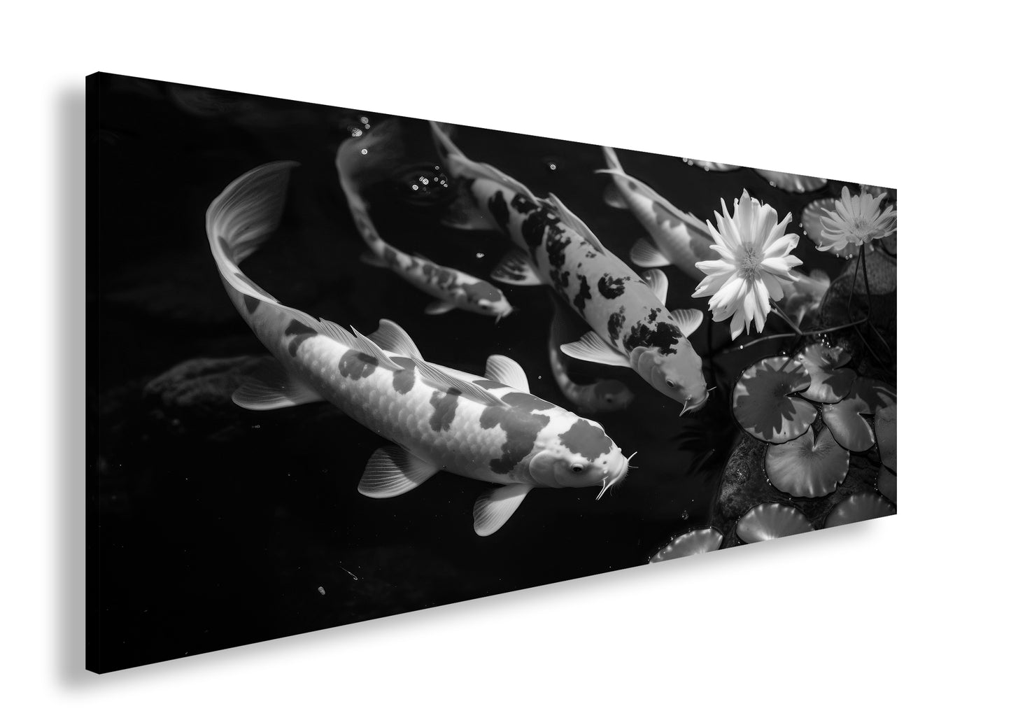 Hauptbild Schwarz & Weiß Panorama