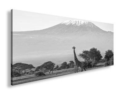 Hauptbild Schwarz & Weiß Panorama