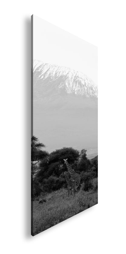 Hauptbild Schwarz & Weiß Panorama