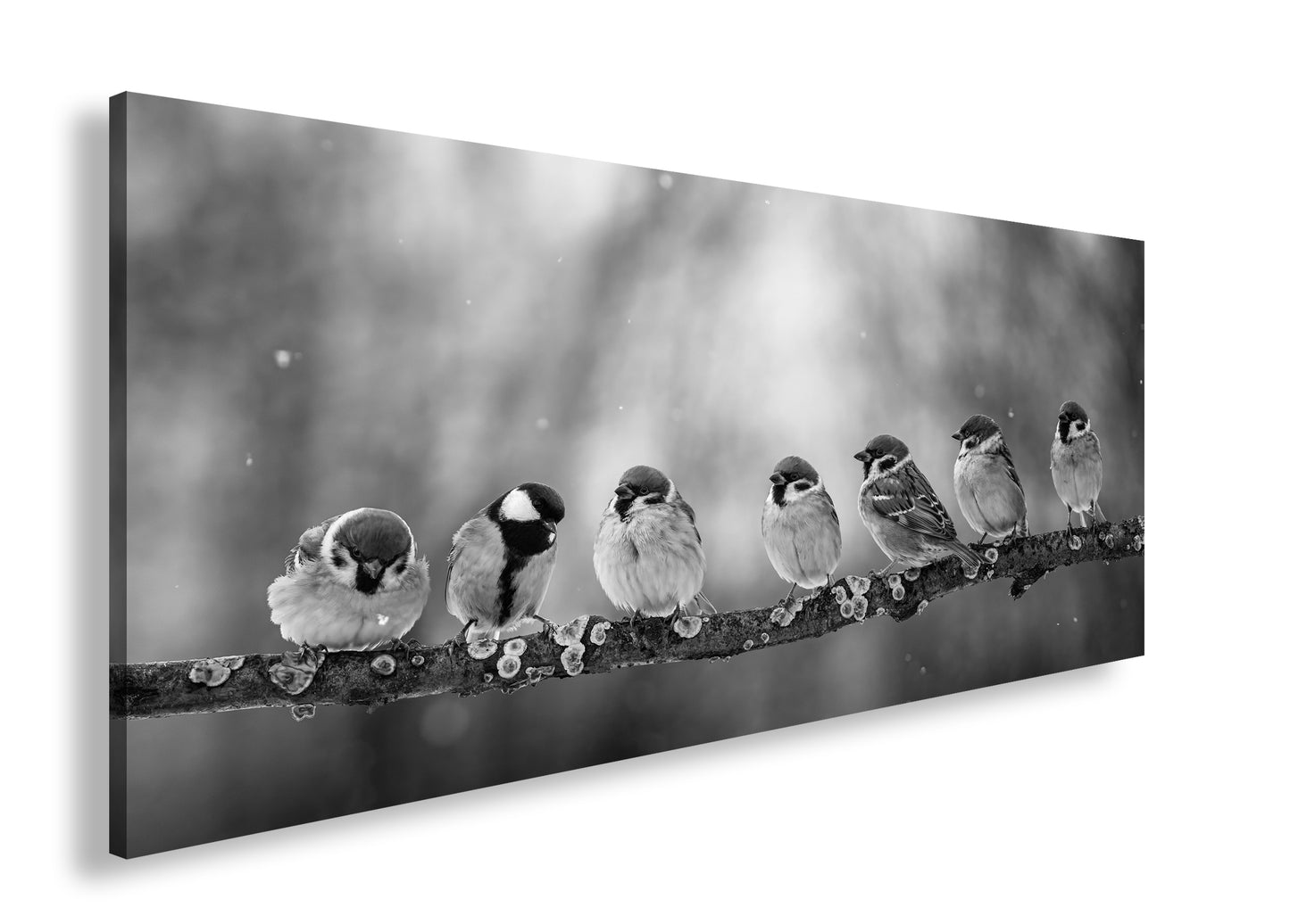 Hauptbild Schwarz & Weiß Panorama