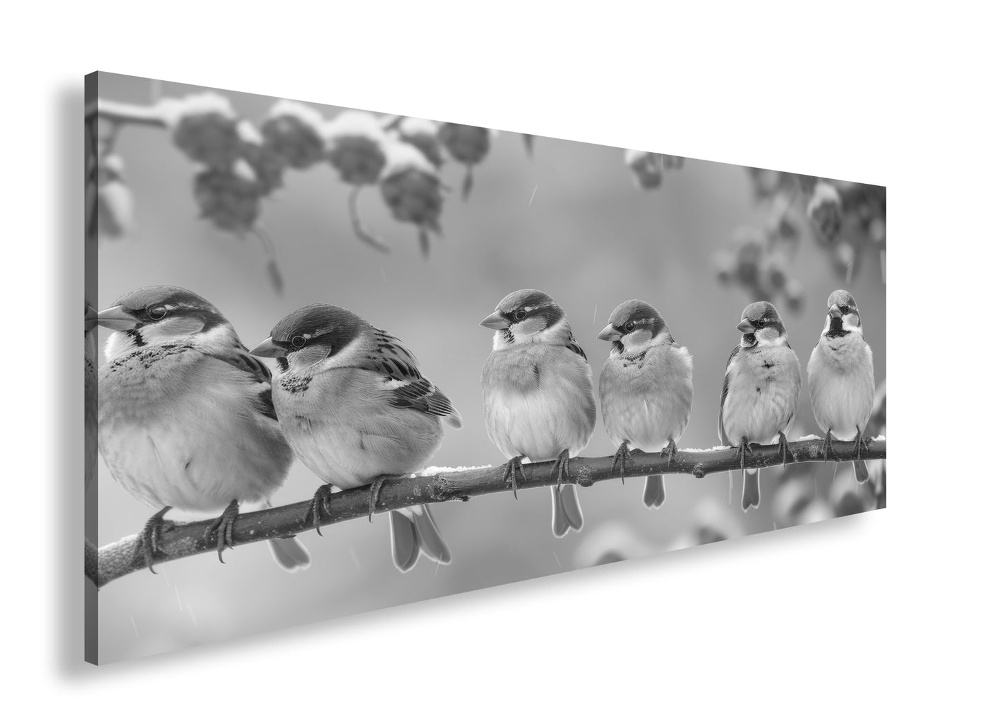 Hauptbild Schwarz & Weiß Panorama