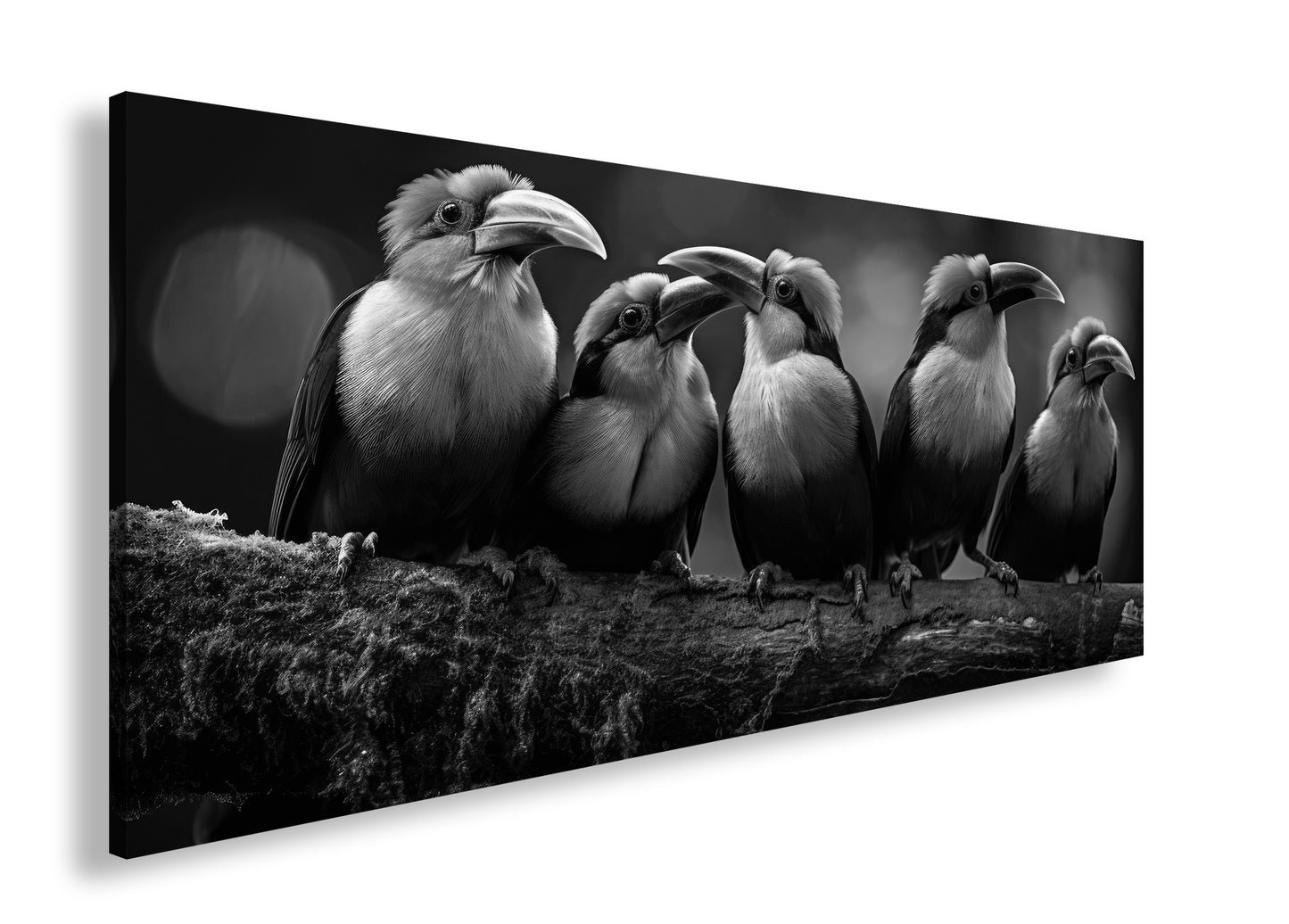 Hauptbild Schwarz & Weiß Panorama