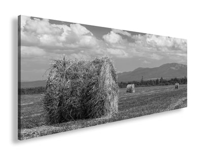 Hauptbild Schwarz & Weiß Panorama