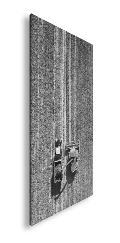 Hauptbild Schwarz & Weiß Panorama