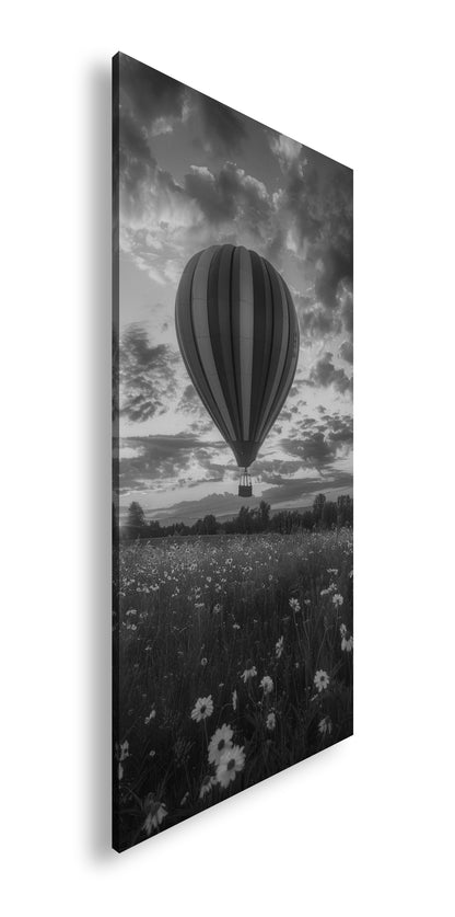 Hauptbild Schwarz & Weiß Panorama