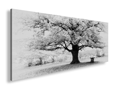 Hauptbild Schwarz & Weiß Panorama