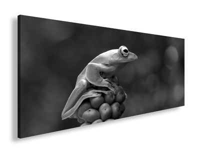 Hauptbild Schwarz & Weiß Panorama