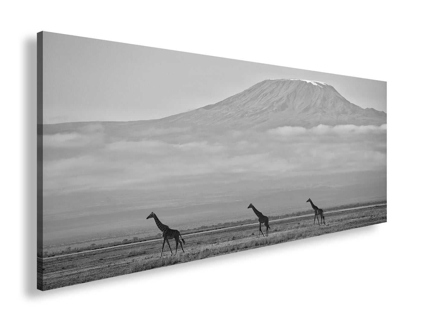 Hauptbild Schwarz & Weiß Panorama