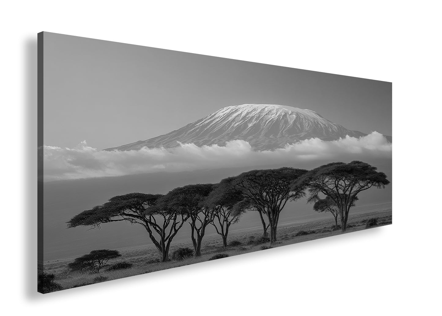 Hauptbild Schwarz & Weiß Panorama