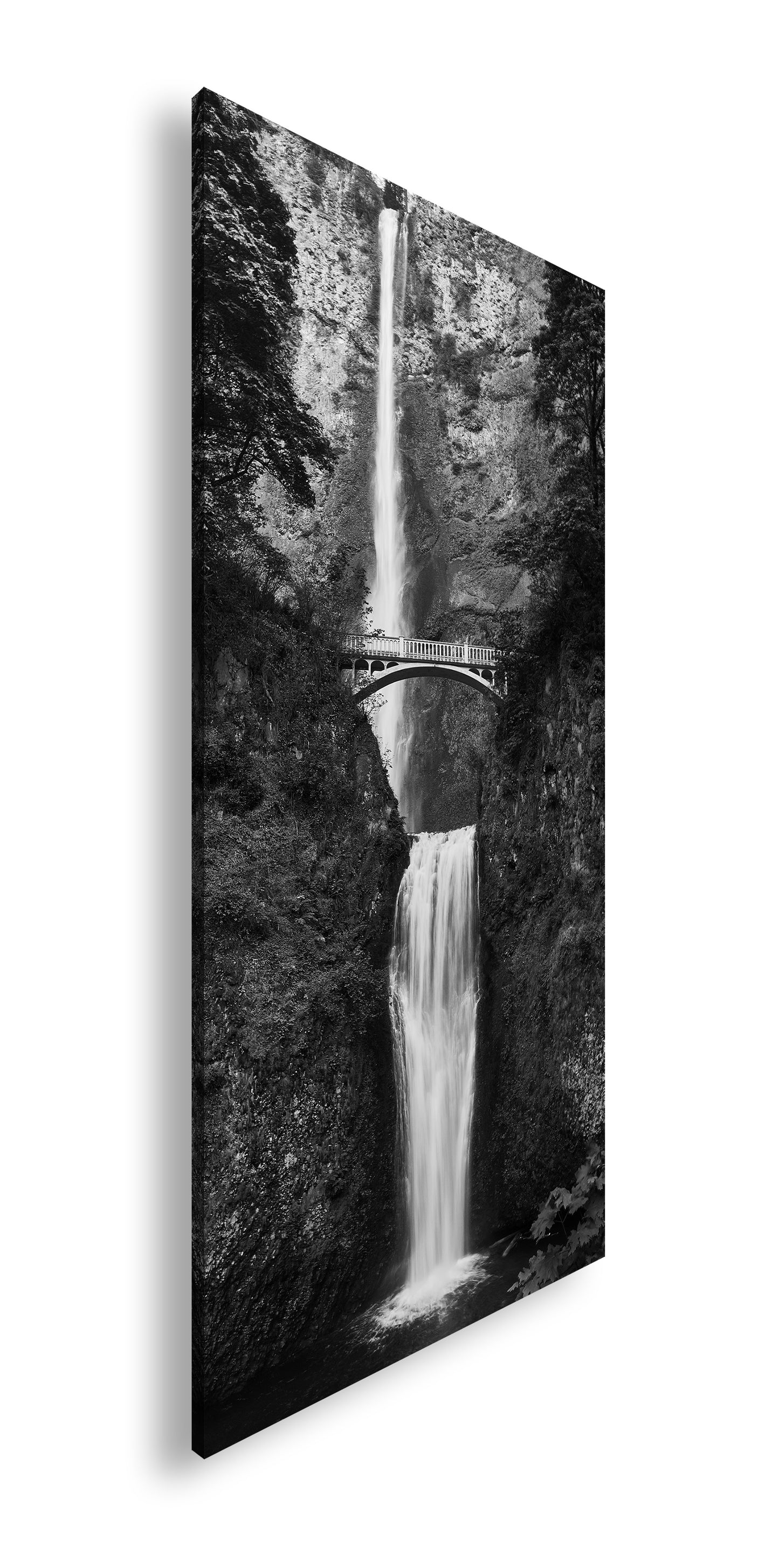 Hauptbild Schwarz & Weiß Panorama