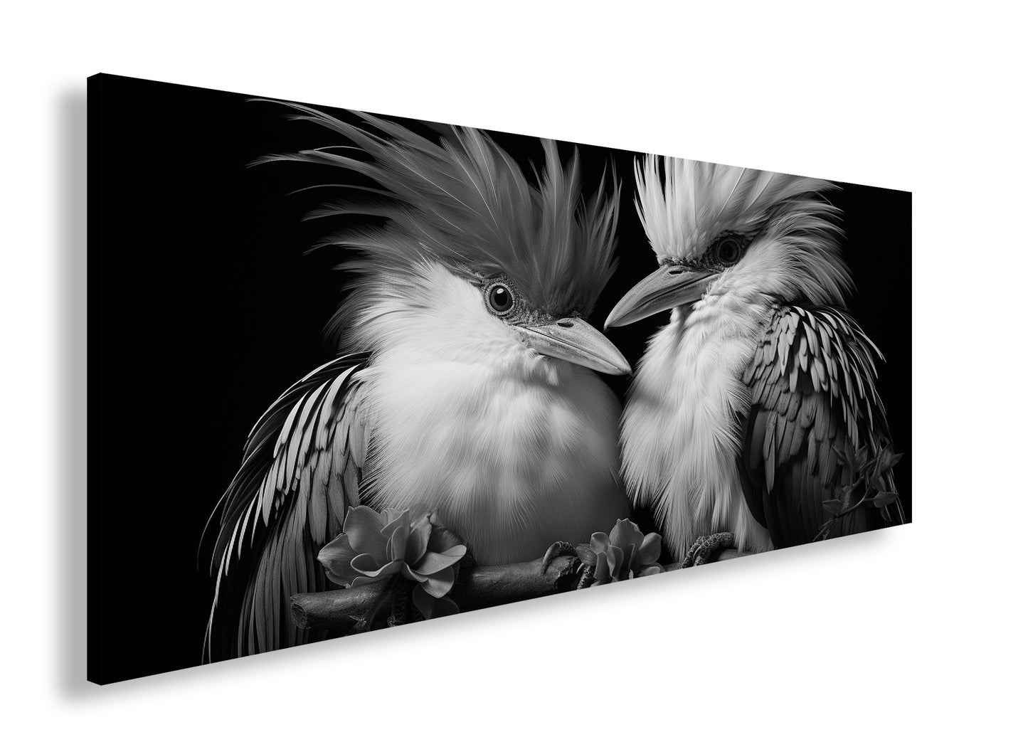 Hauptbild Schwarz & Weiß Panorama