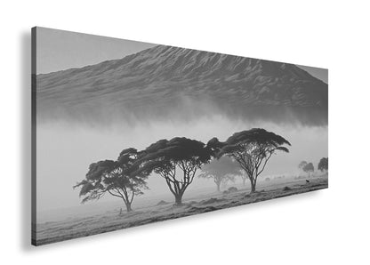 Hauptbild Schwarz & Weiß Panorama