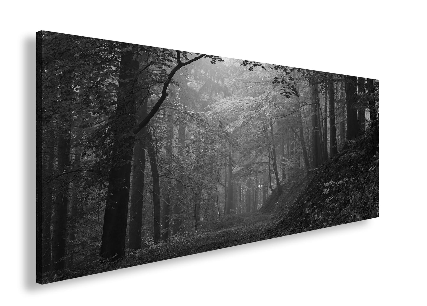 Hauptbild Schwarz & Weiß Panorama