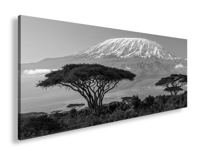 Hauptbild Schwarz & Weiß Panorama