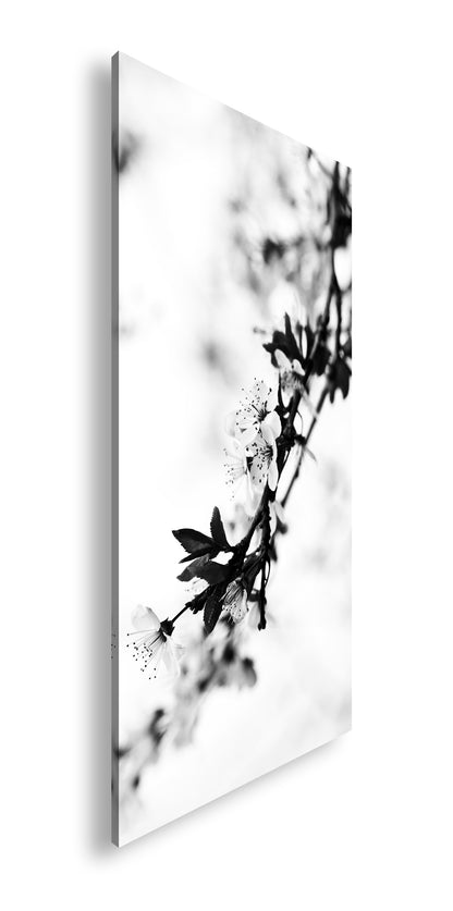 Hauptbild Schwarz & Weiß Panorama