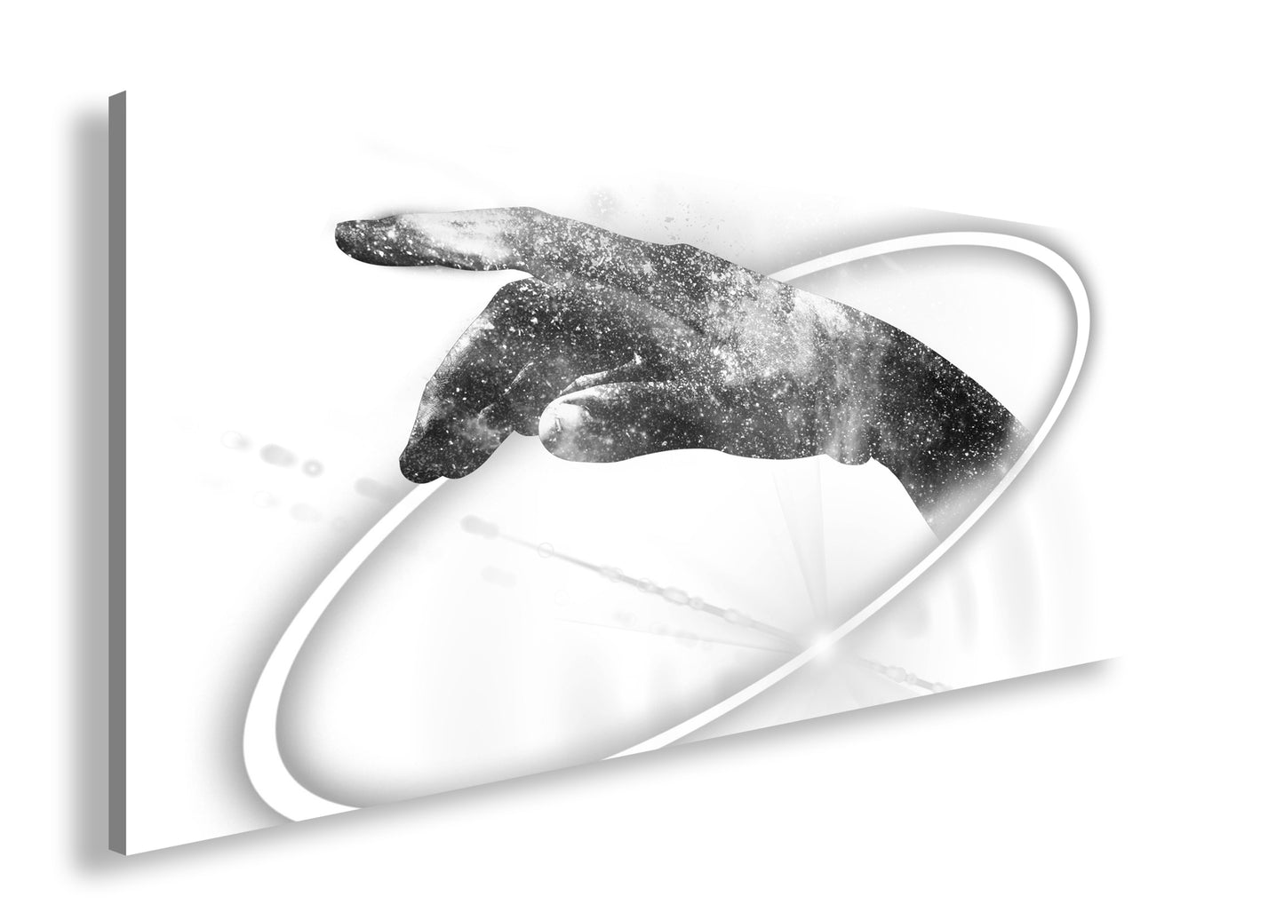 Hauptbild Schwarz & Weiß Panorama