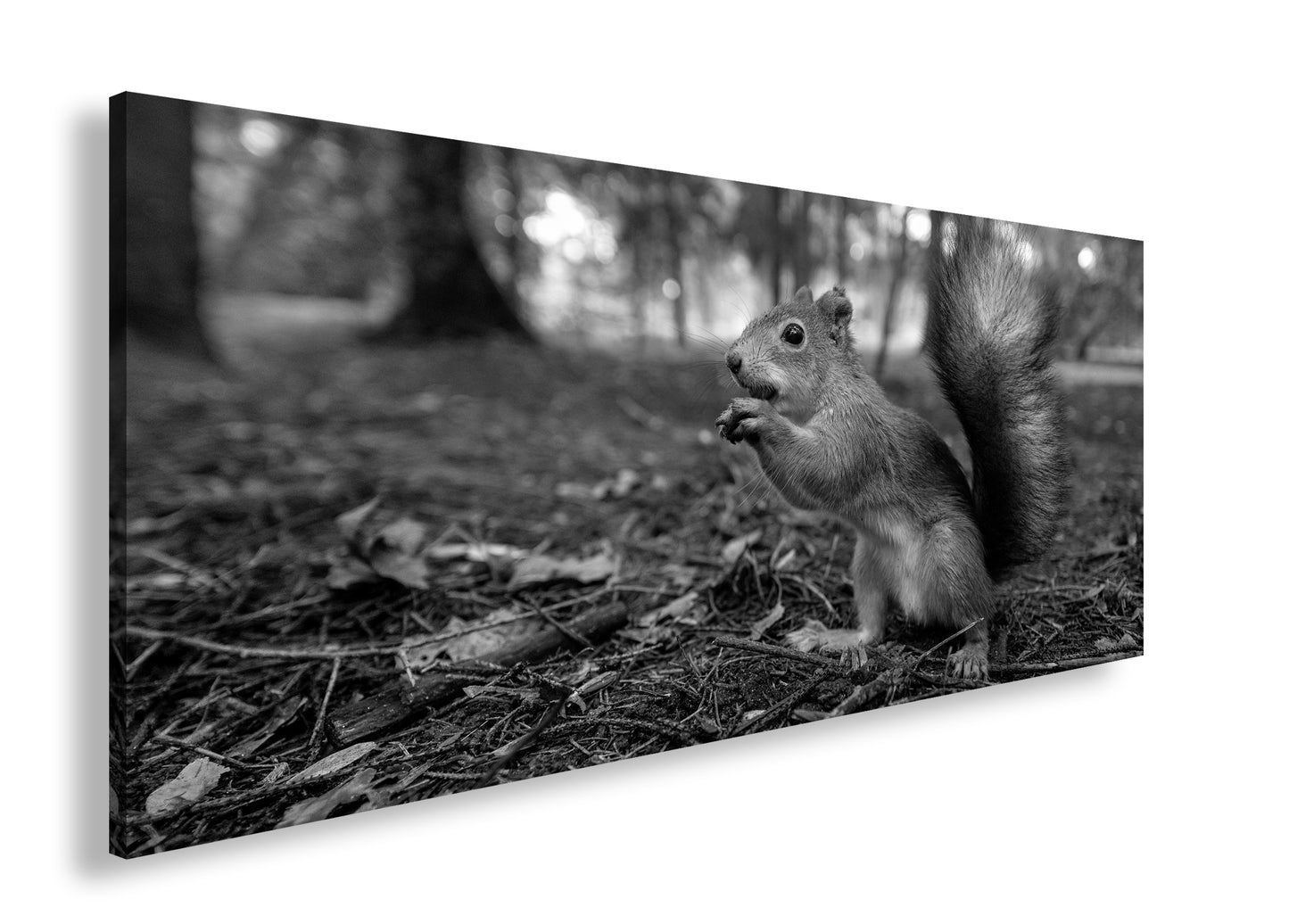 Hauptbild Schwarz & Weiß Panorama