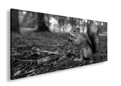 Hauptbild Schwarz & Weiß Panorama