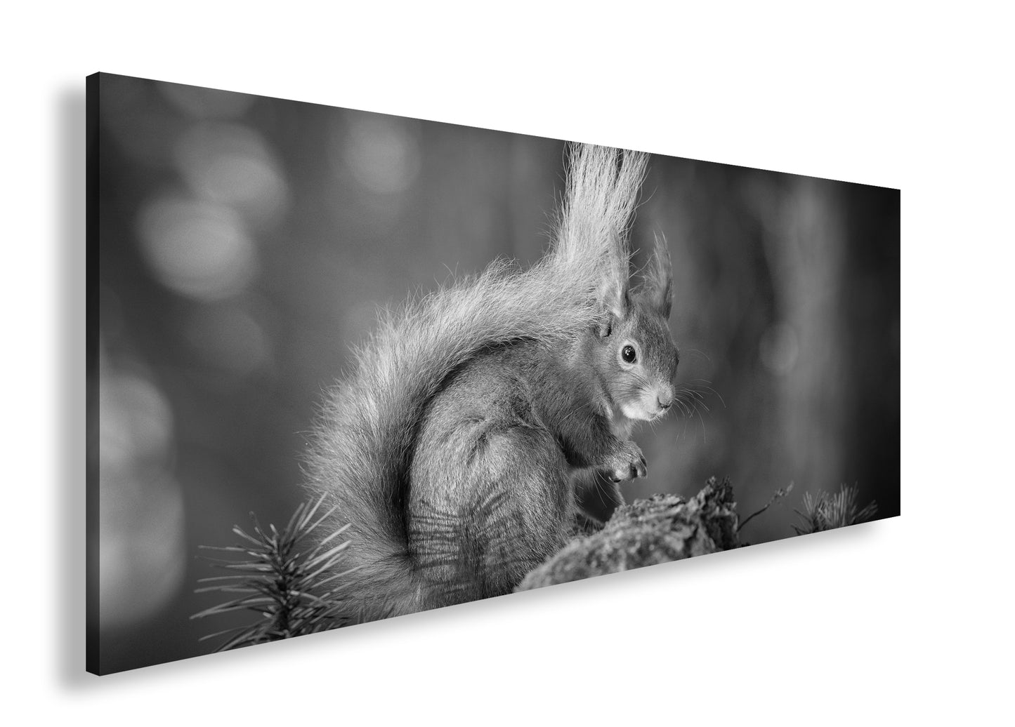 Hauptbild Schwarz & Weiß Panorama