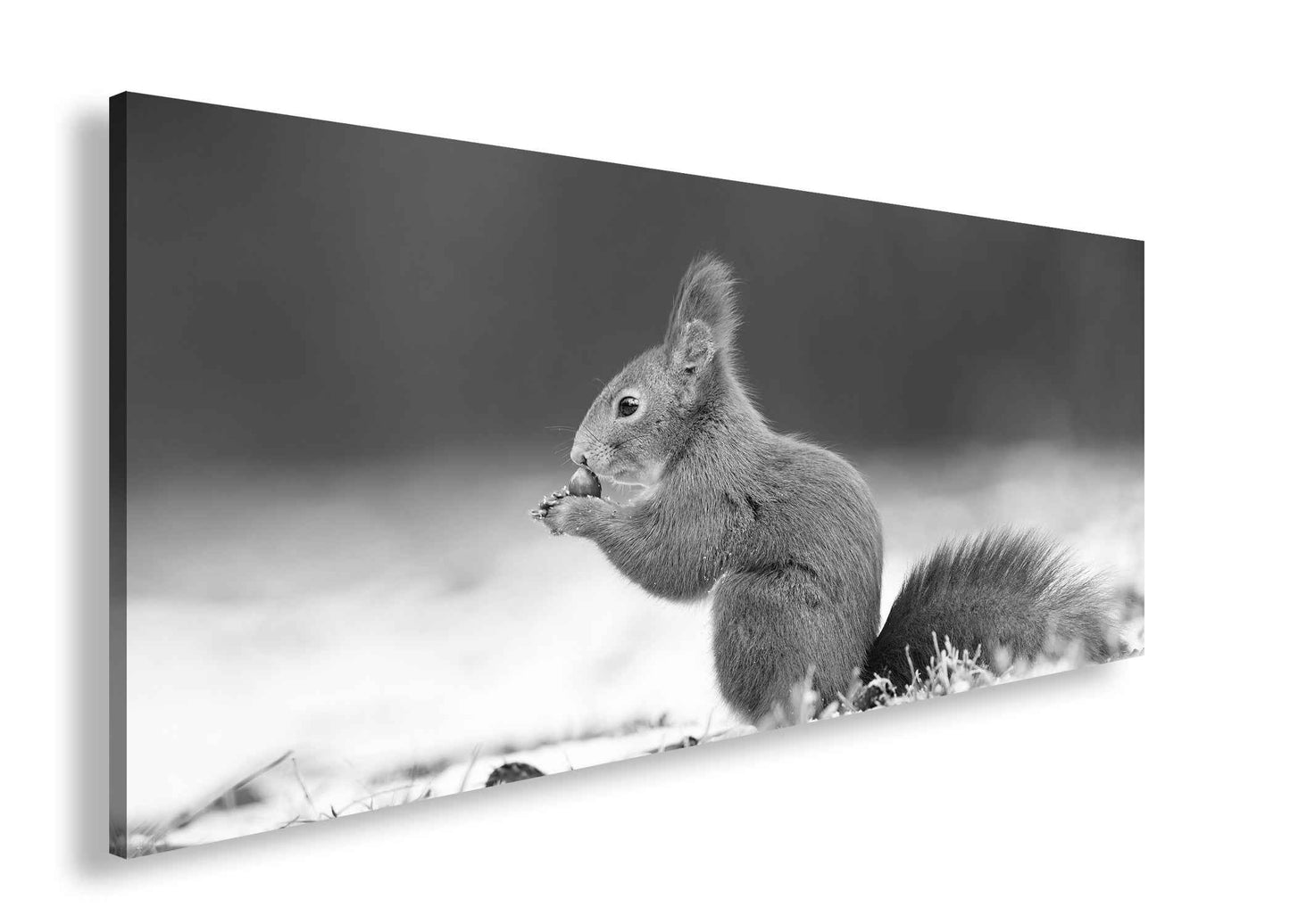 Hauptbild Schwarz & Weiß Panorama