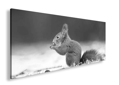 Hauptbild Schwarz & Weiß Panorama