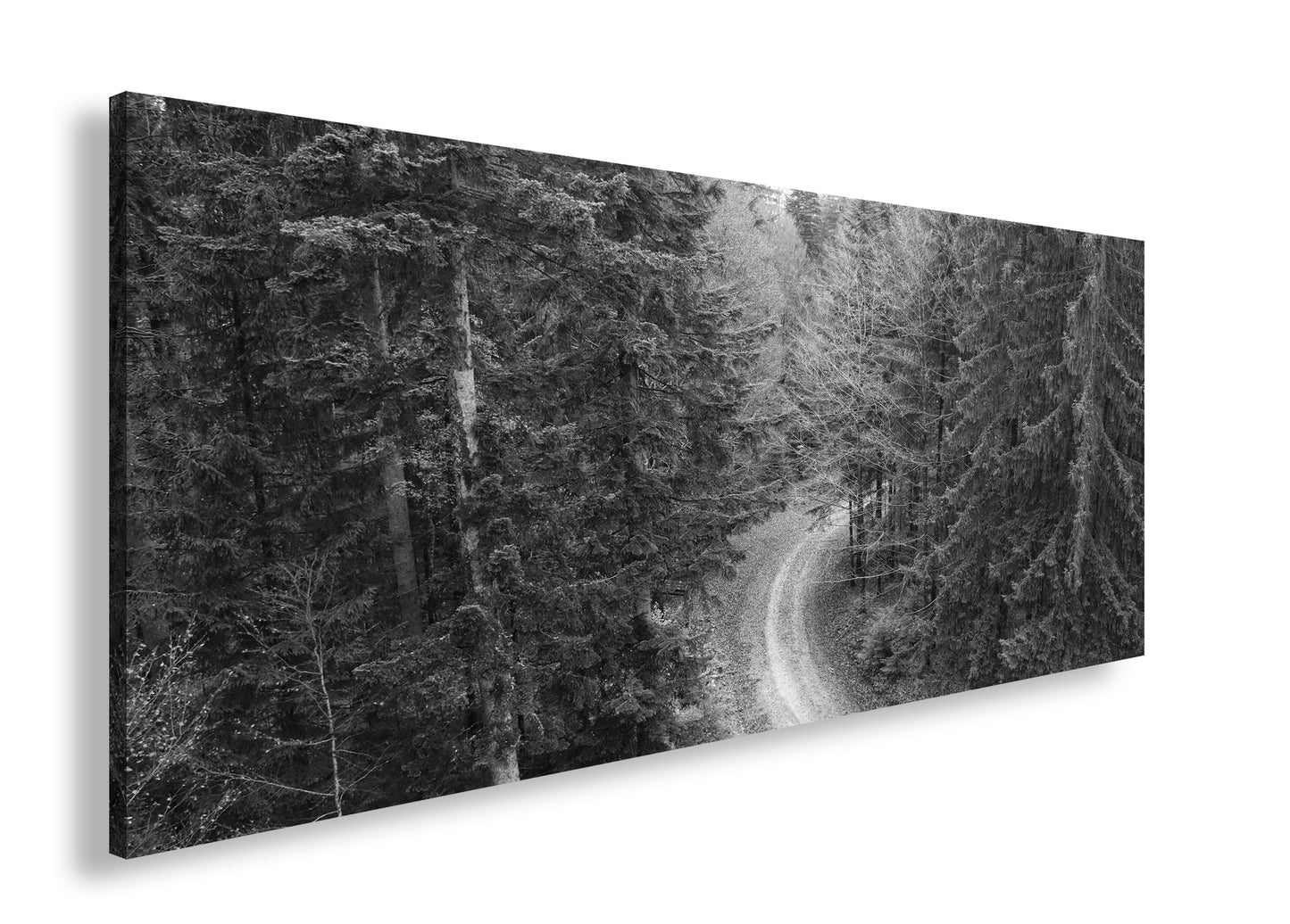 Hauptbild Schwarz & Weiß Panorama