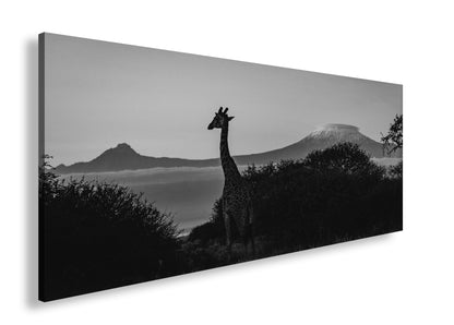 Hauptbild Schwarz & Weiß Panorama