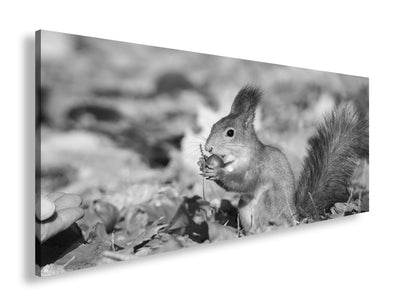 Hauptbild Schwarz & Weiß Panorama