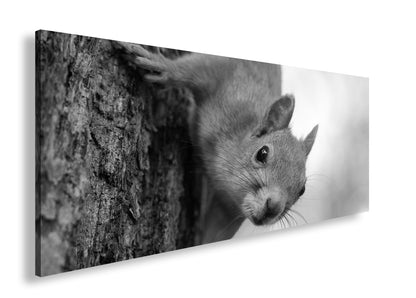 Hauptbild Schwarz & Weiß Panorama