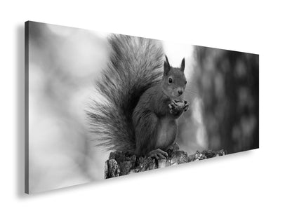 Hauptbild Schwarz & Weiß Panorama