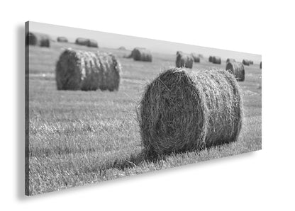 Hauptbild Schwarz & Weiß Panorama