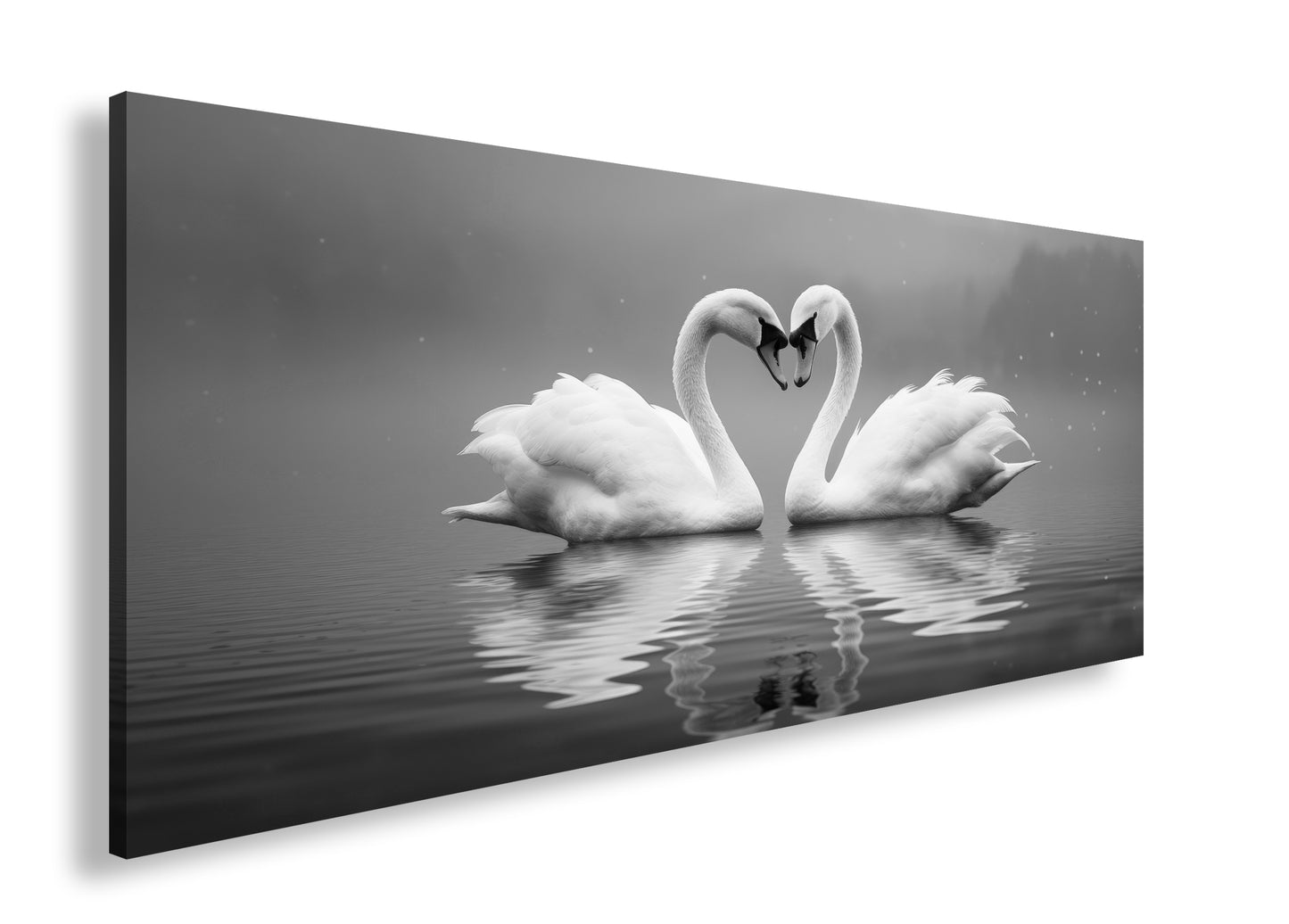 Hauptbild Schwarz & Weiß Panorama