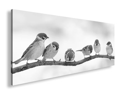 Hauptbild Schwarz & Weiß Panorama