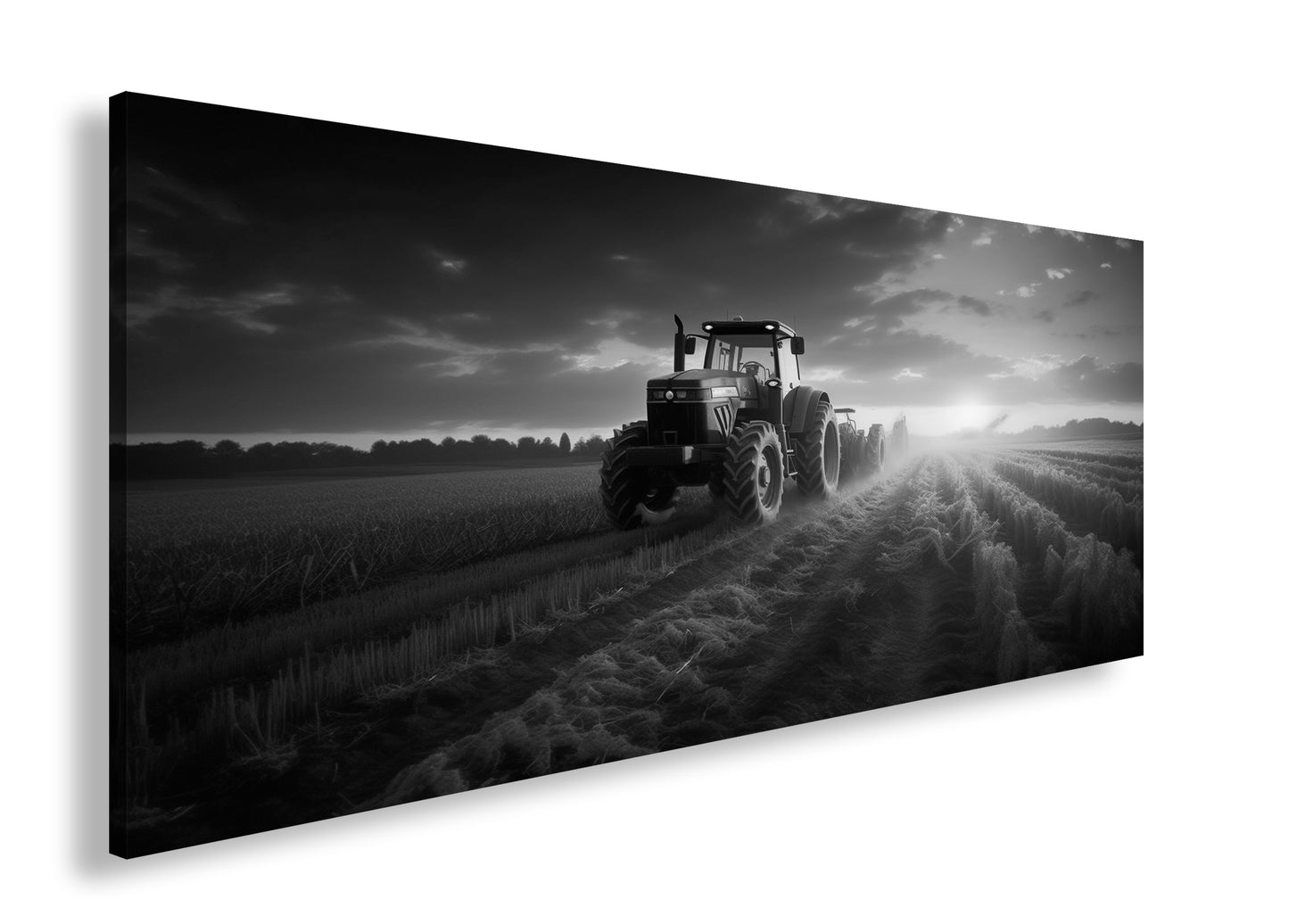 Hauptbild Schwarz & Weiß Panorama