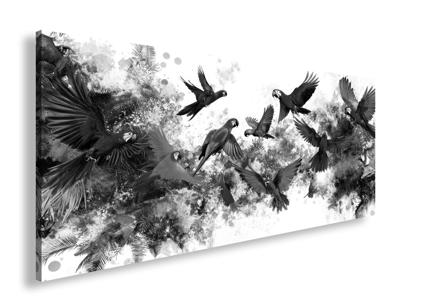 Hauptbild Schwarz & Weiß Panorama