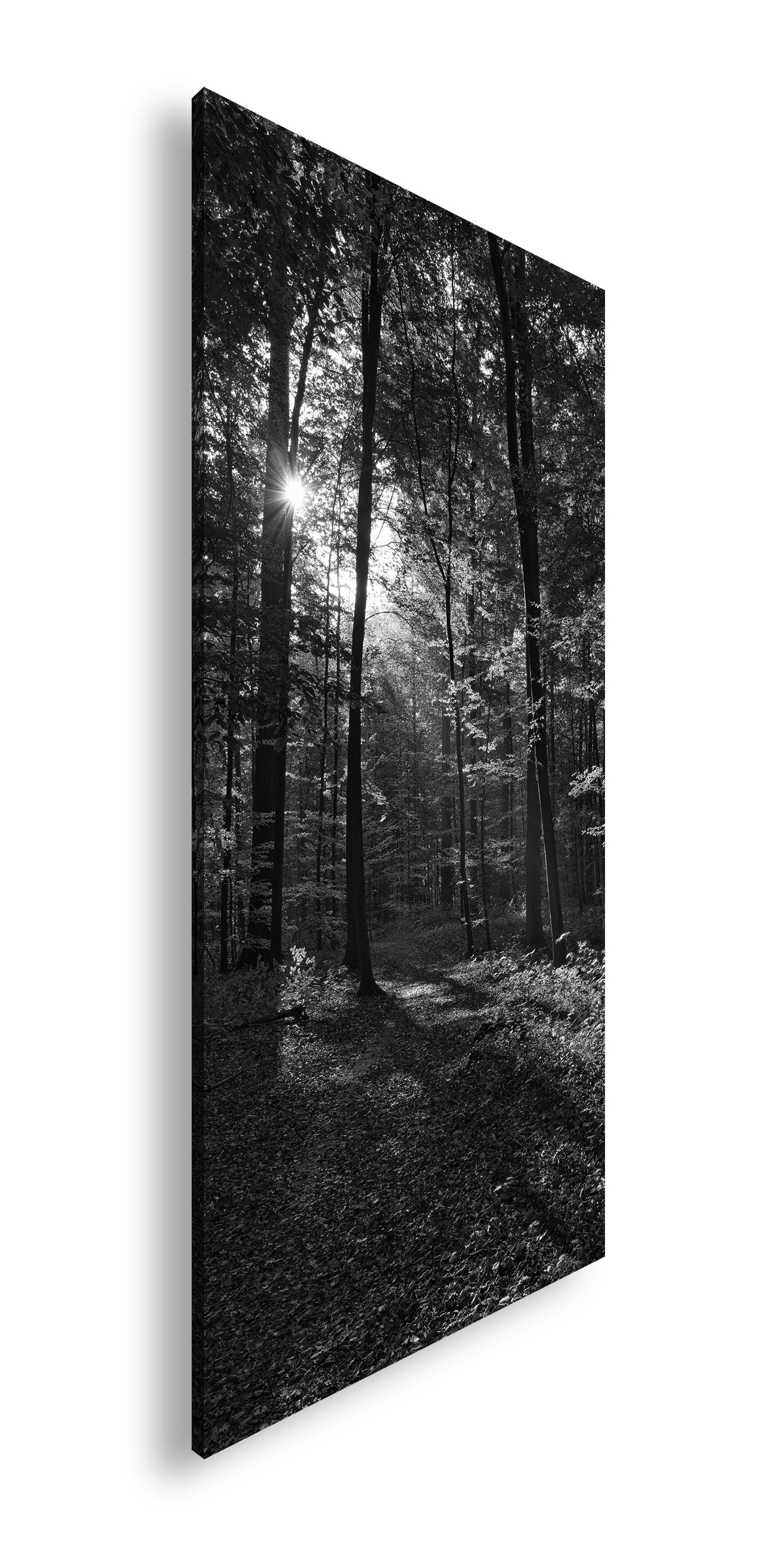 Hauptbild Schwarz & Weiß Panorama