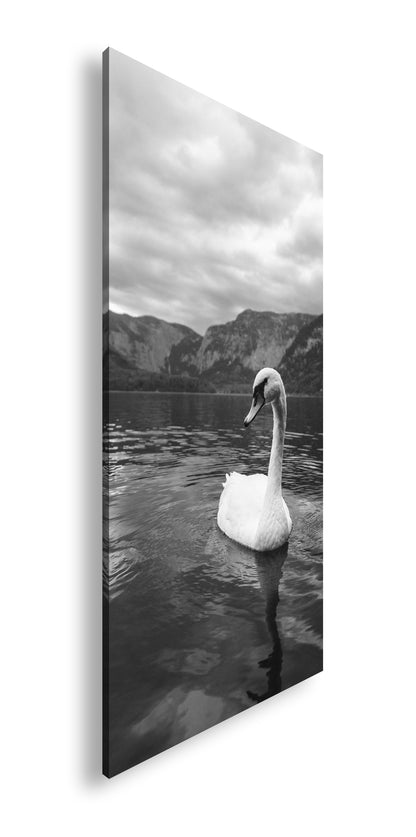 Hauptbild Schwarz & Weiß Panorama