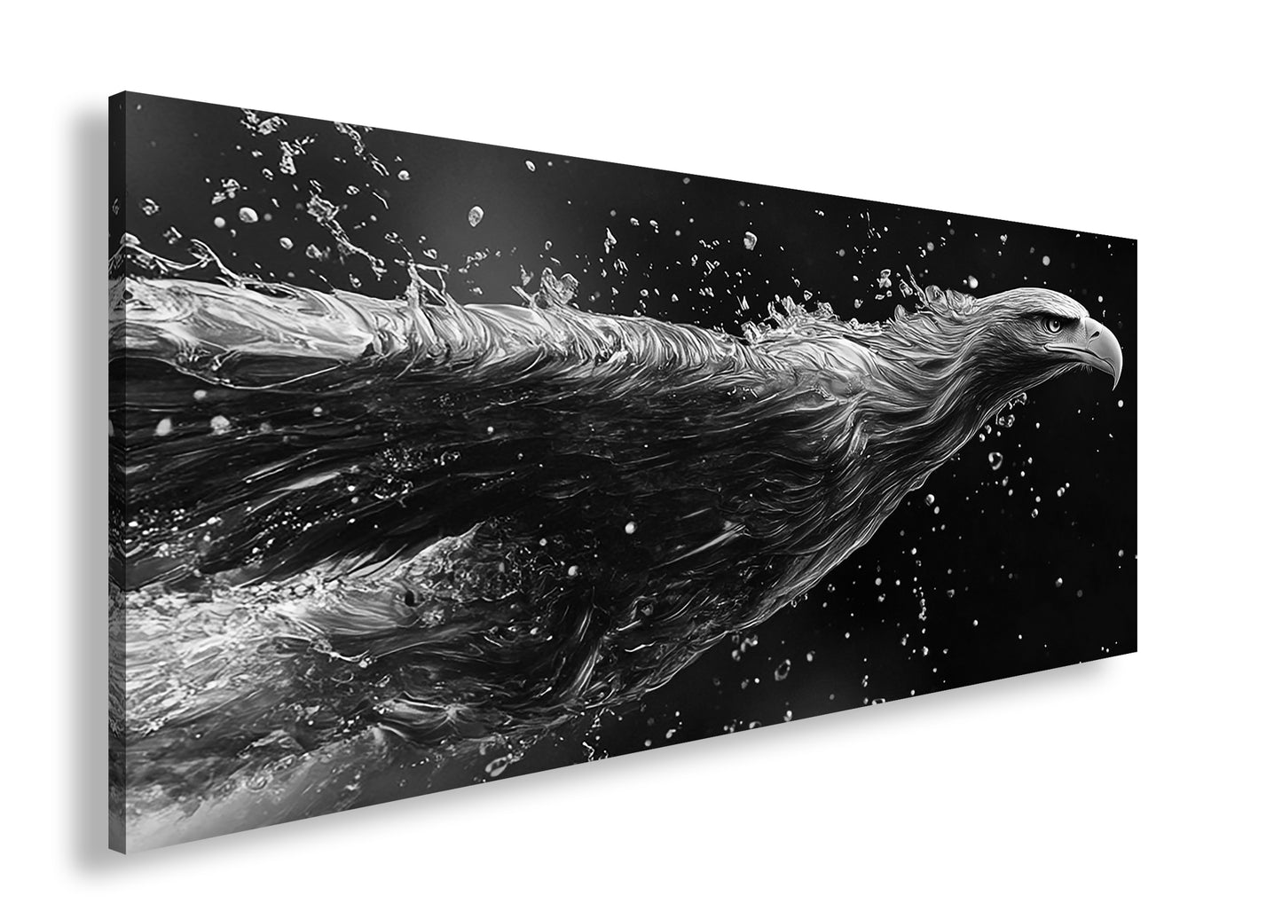 Hauptbild Schwarz & Weiß Panorama