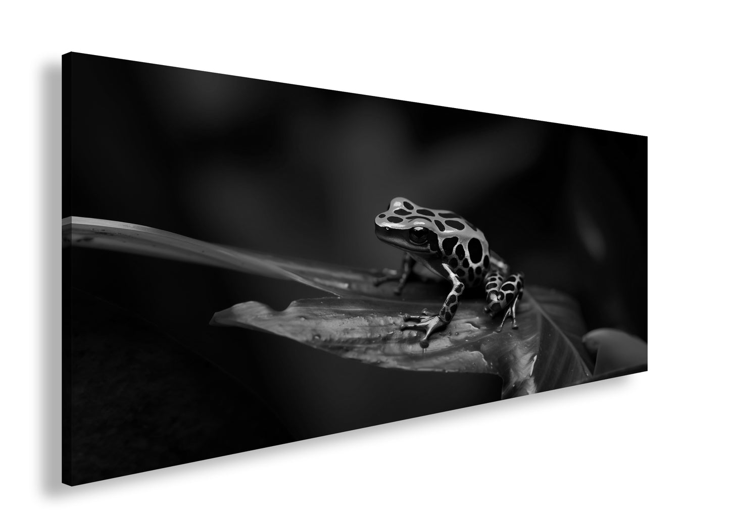 Hauptbild Schwarz & Weiß Panorama