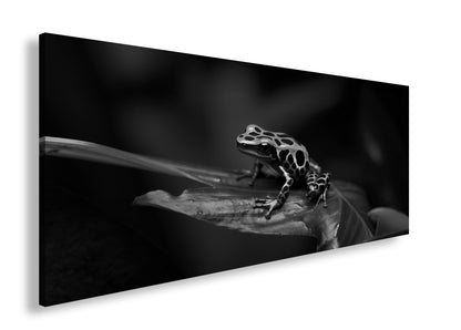 Hauptbild Schwarz & Weiß Panorama