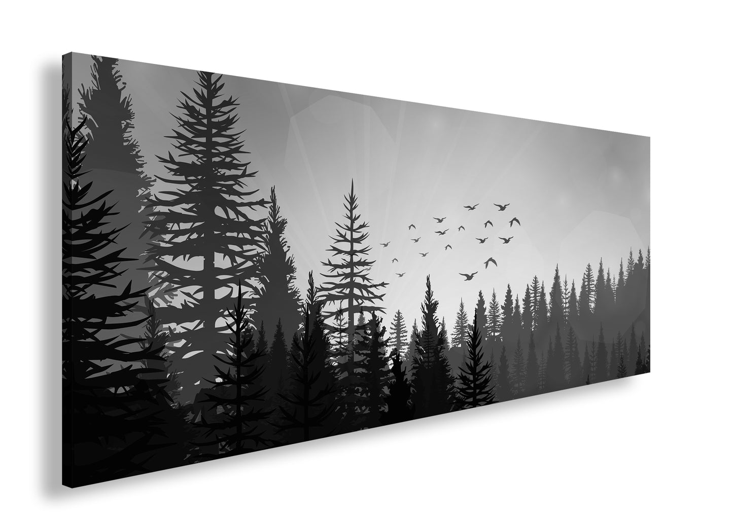 Hauptbild Schwarz & Weiß Panorama