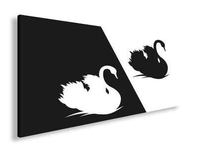 Hauptbild Schwarz & Weiß Panorama