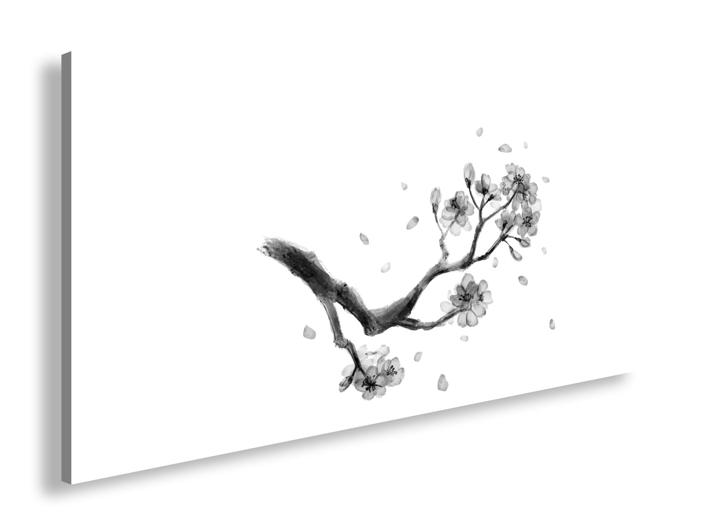 Hauptbild Schwarz & Weiß Panorama