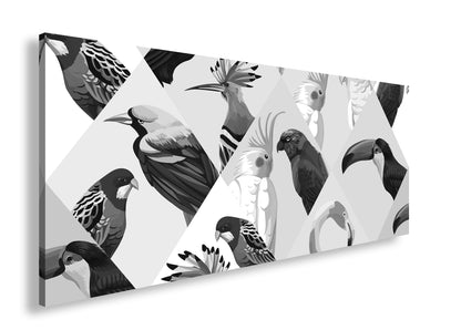 Hauptbild Schwarz & Weiß Panorama