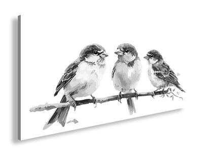 Hauptbild Schwarz & Weiß Panorama